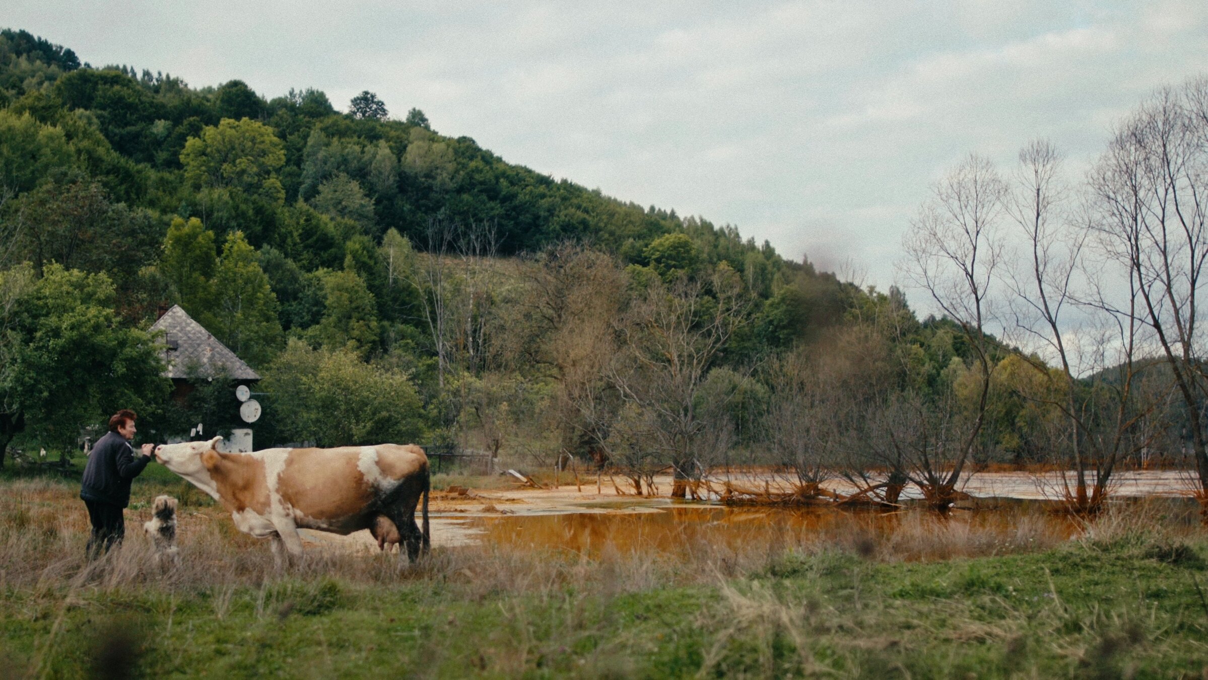 "Where we used to sleep": Valeria Praţa mit ihrer Kuh Pa'una.