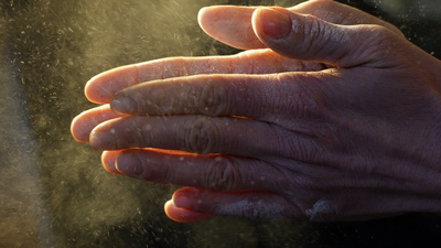 Unsere Hand – Geniestreich der Evolution