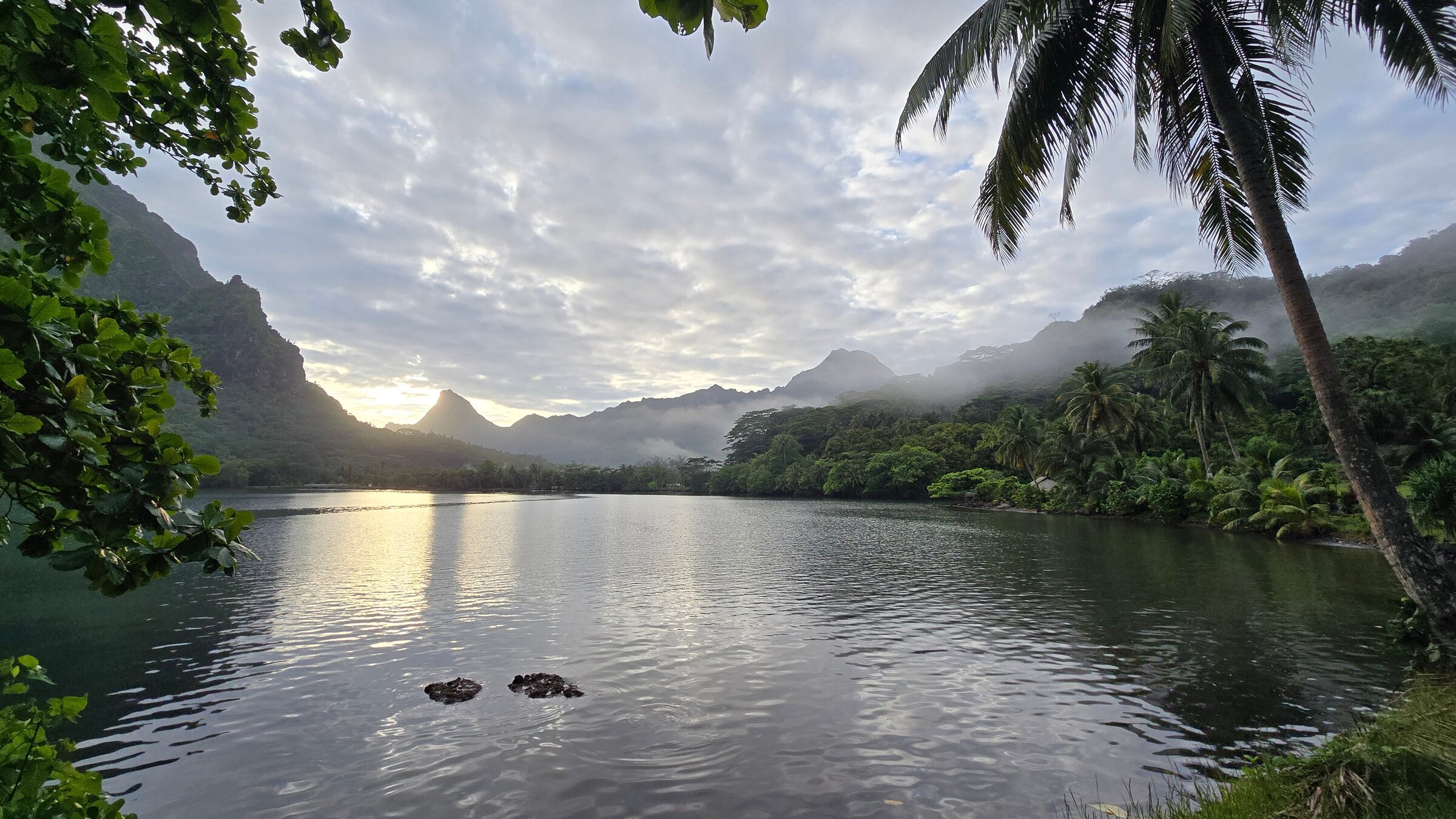 "Oasen - Inseln des Lebens (2/5) - Die Perle des Pazifiks": Die Baie d‘Opunohu ist eine von zwei langen Buchten, die bis ins Landesinnere der Vulkaninsel Moorea reichen.