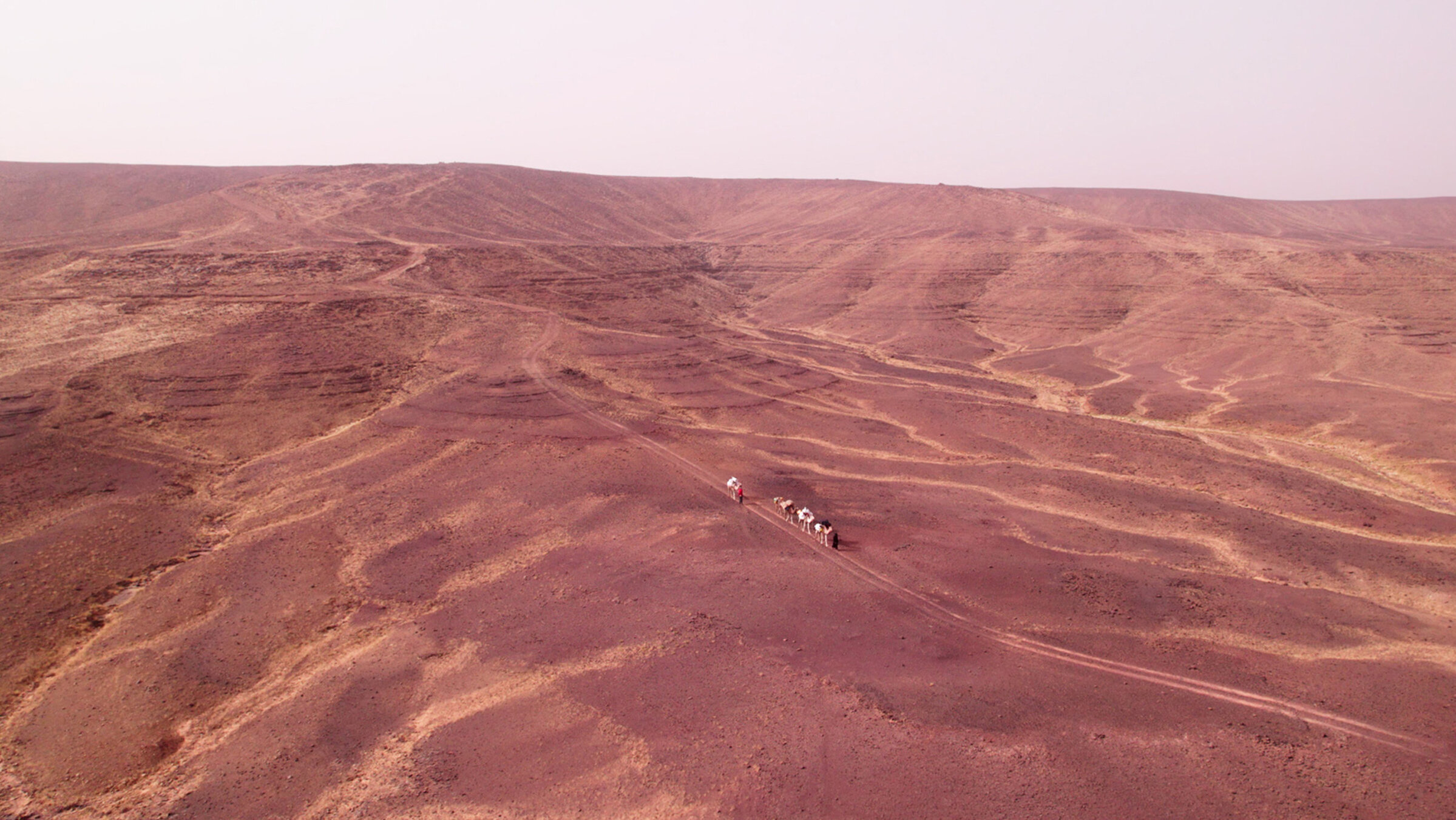 "Abenteuer Mauretanien": Nur 20 Prozent der Sahara ist mit feinem Sand bedeckt. Der Rest besteht aus Stein, Kies und Geröll.