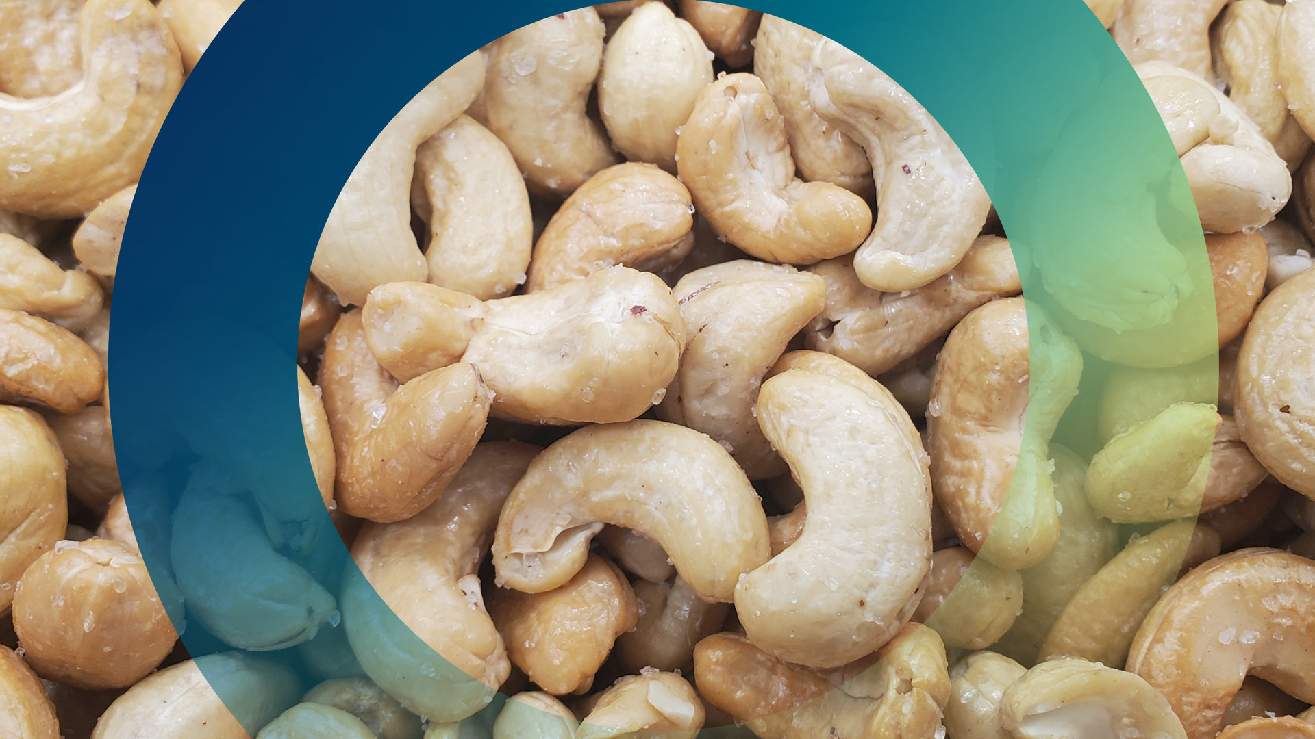 "planet e.: Cashew und Co. - Genuss mit Beigeschmack": Cashewkerne.