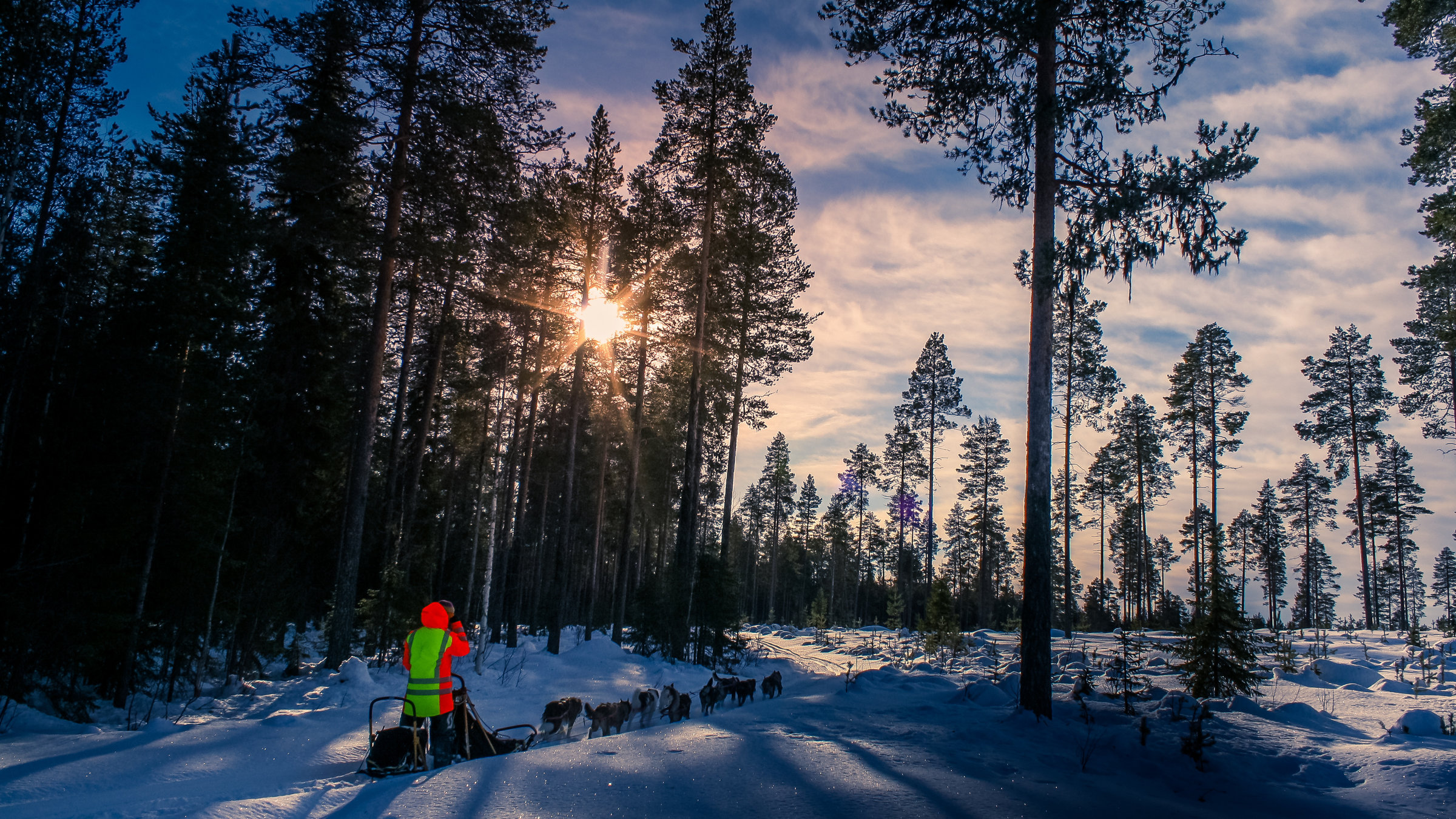 "Terra Xpress - Lockruf des Nordens": In einer Winterlandschaft steht eine Person steht auf einem Hundeschlitten und wird von Huskys durch den Schnee gezogen.