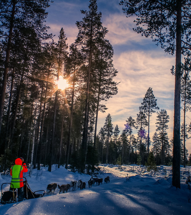 "Terra Xpress - Lockruf des Nordens": In einer Winterlandschaft steht eine Person steht auf einem Hundeschlitten und wird von Huskys durch den Schnee gezogen.