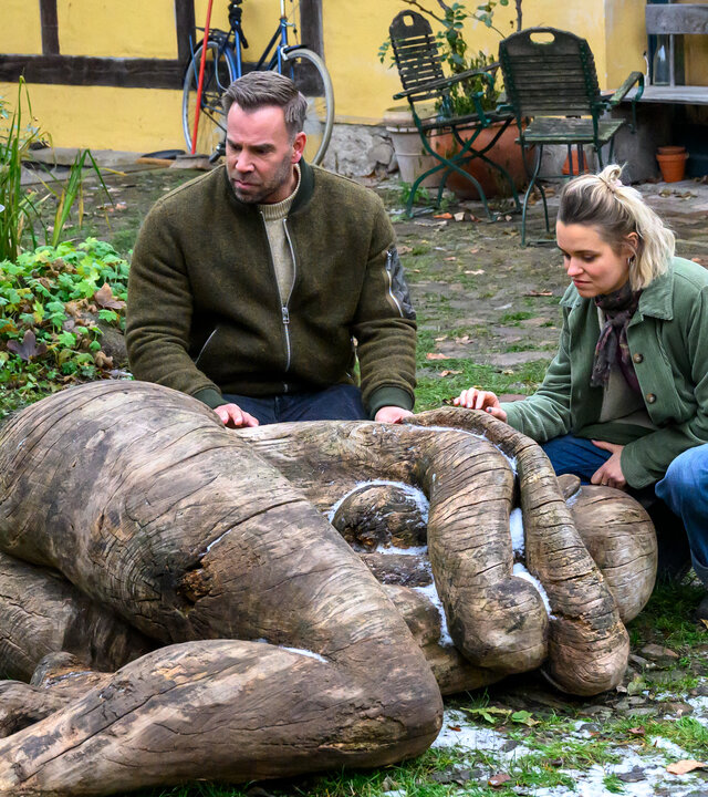 „SOKO Wismar – Königin der Hölzer“: Lars Pöhlmann (Dominic Boeer) betrachtet im Hof der Bildhauer fasziniert eine Holzskulptur, die eine menschliche Figur in Embryonalstellung zeigt. Neben ihm kniet Lilly Kladow (Nora Schulte) und legt die Hand auf die Schulter der Skulptur. Im Hintergrund befindet sich die Bildhauerwerkstatt.