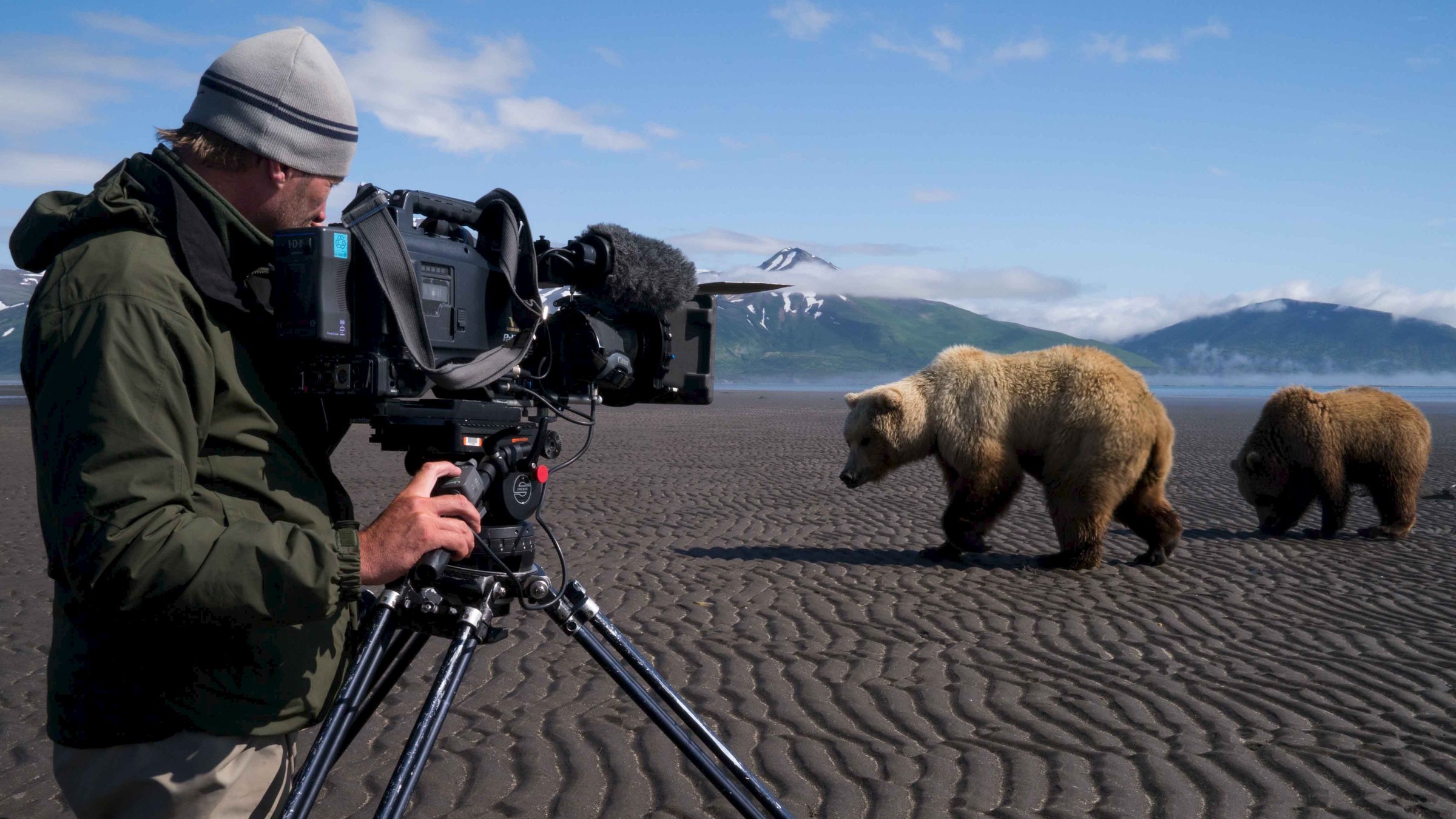 "Terra X: Unter Grizzlys - Das Abenteuer beginnt": Ein Kameramann filmt zwei Grizzlys.