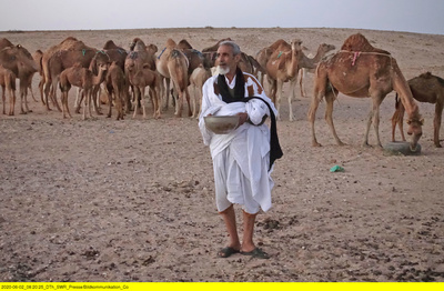 Männer der Wüste - Mit Kamelhirten durch die Sahara