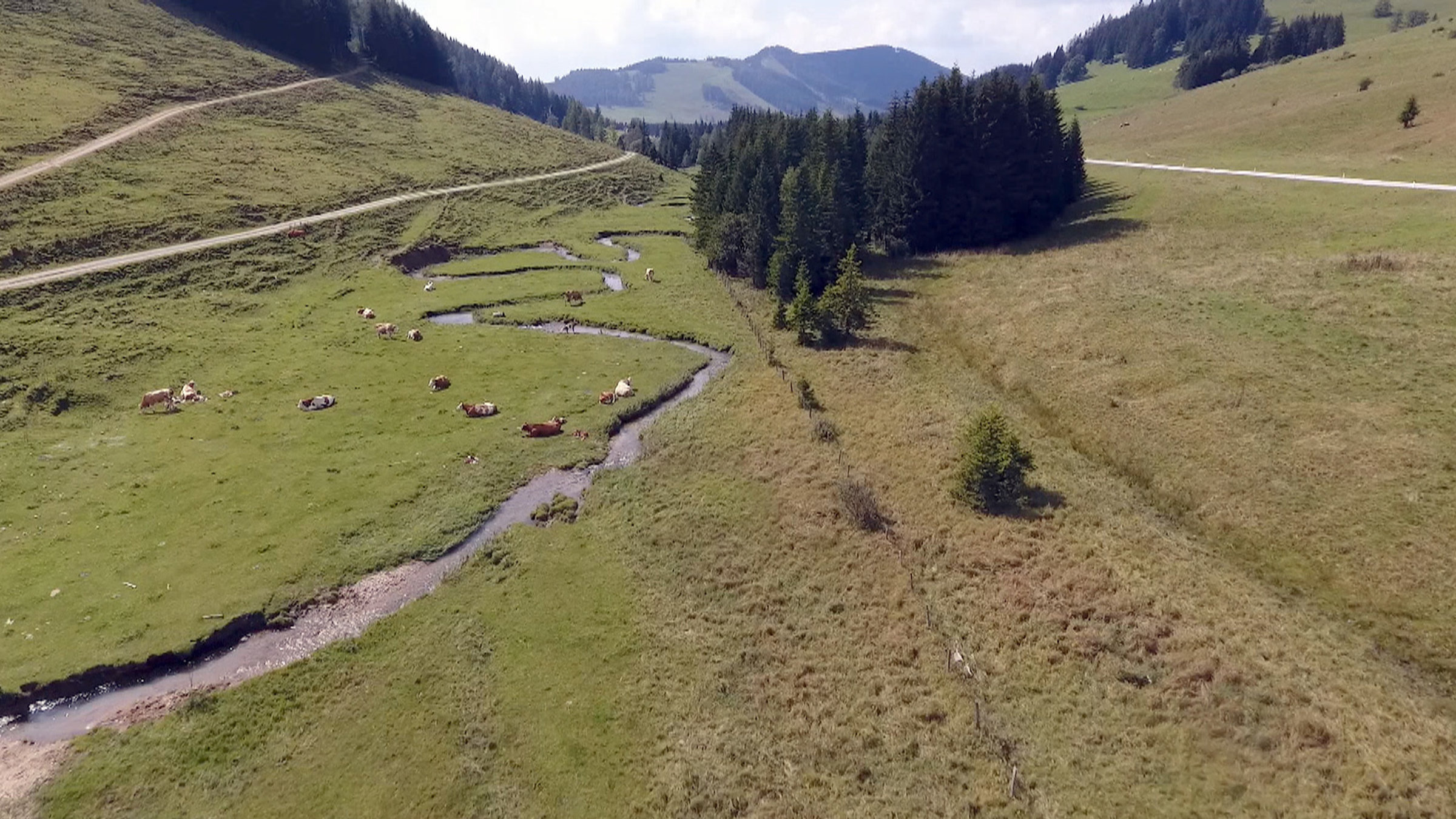 "Arbeit auf der Alm - In den steirischen Alpen": Steirische Almlandschaft.