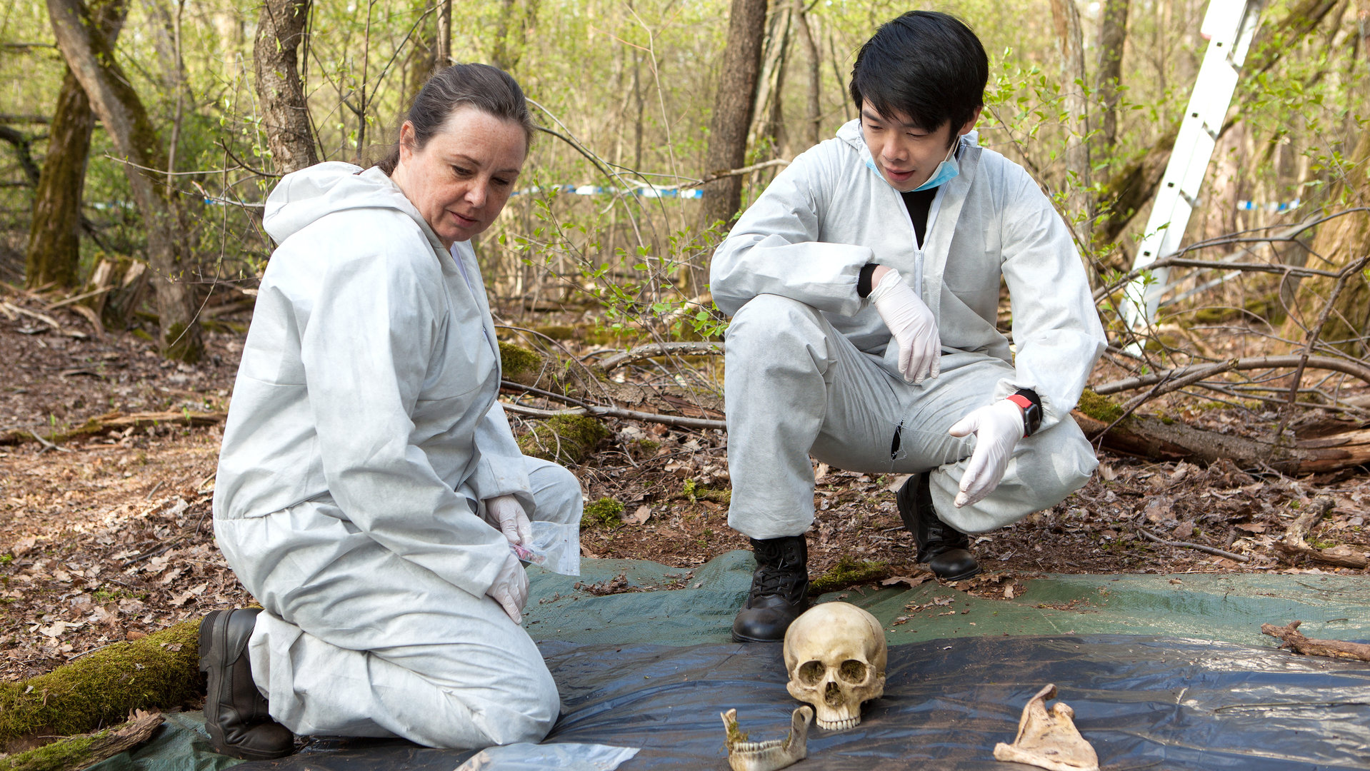 "SOKO Potsdam - Vom Himmel gefallen": Die Spurensicher*Innen Jutta Specht (Gabriele Völsch) und Thomas Brandner (Yung Ngo) knien im Wald auf einer Plane, auf der sich Bruchteile eines Skeletts befinden.