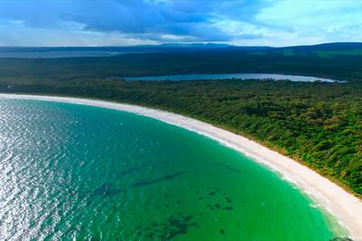 In den Feuerwäldern Westaustraliens - Die Walpole Wilderness