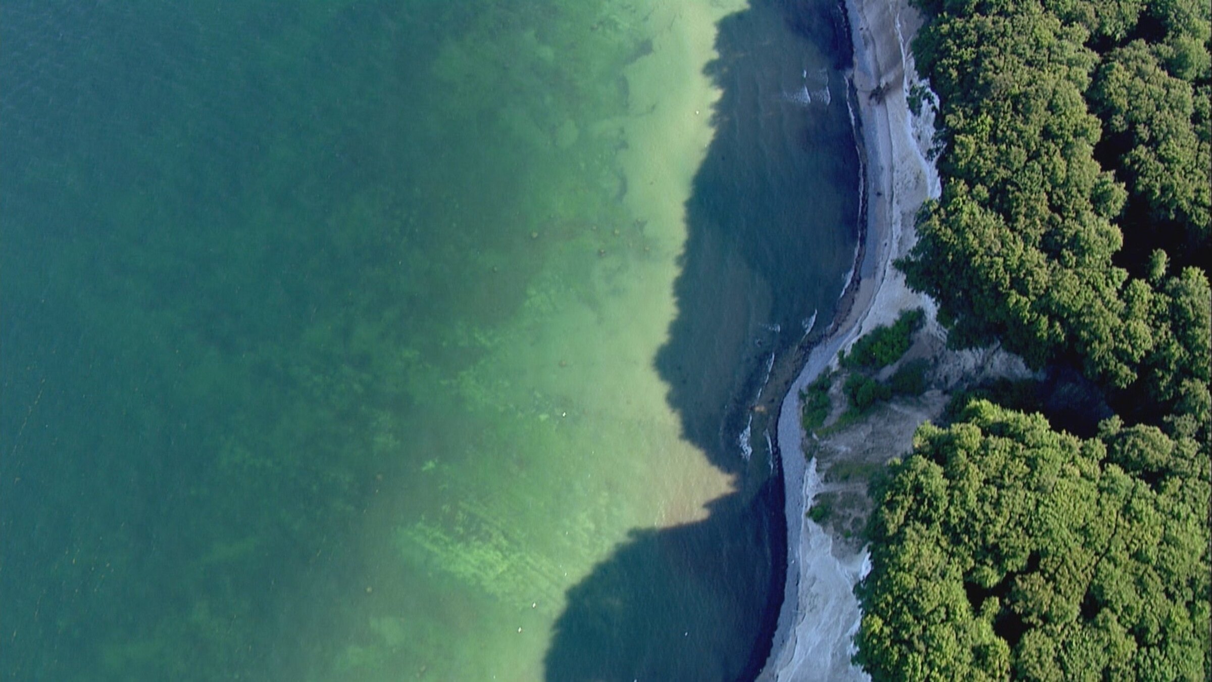 "Rügen – Weiße Felsen, grüne Wälder": Die Kreideküste auf Rügen - schon Caspar David Friedrich war von ihr fasziniert.