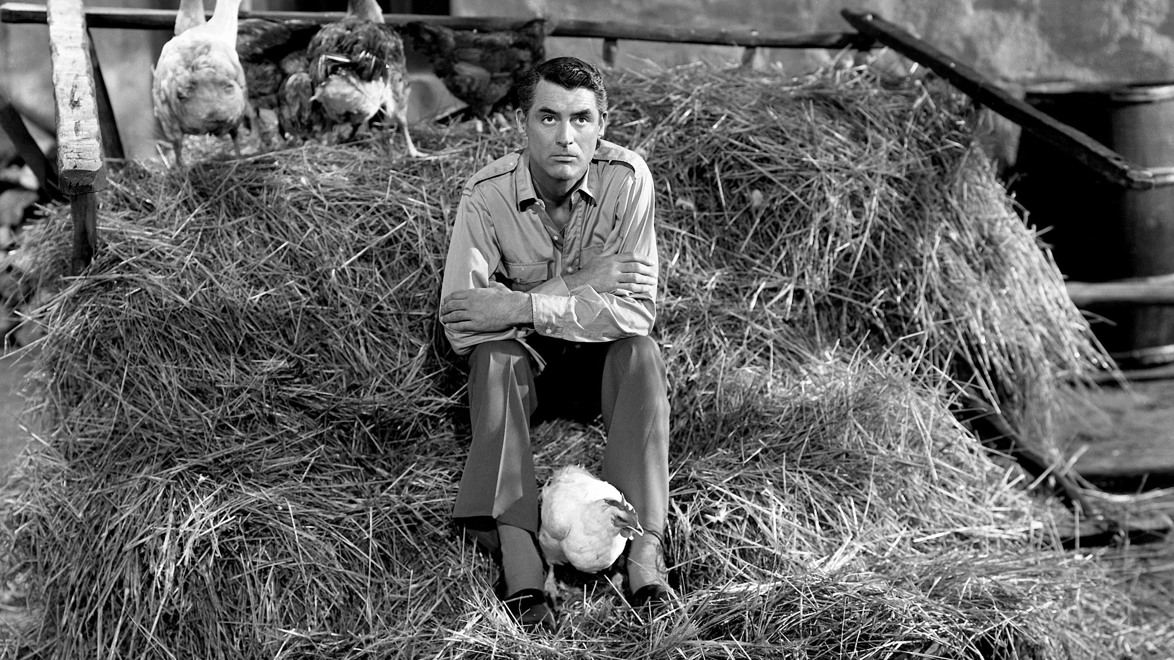 "Ich war eine männliche Kriegsbraut": Ein junger dunkelhaariger  Mann sitzt auf einem Heuhaufen, zwischen seinen Beinen steckt ein weißes Huhn, hinter ihm stehen drei Gänse.