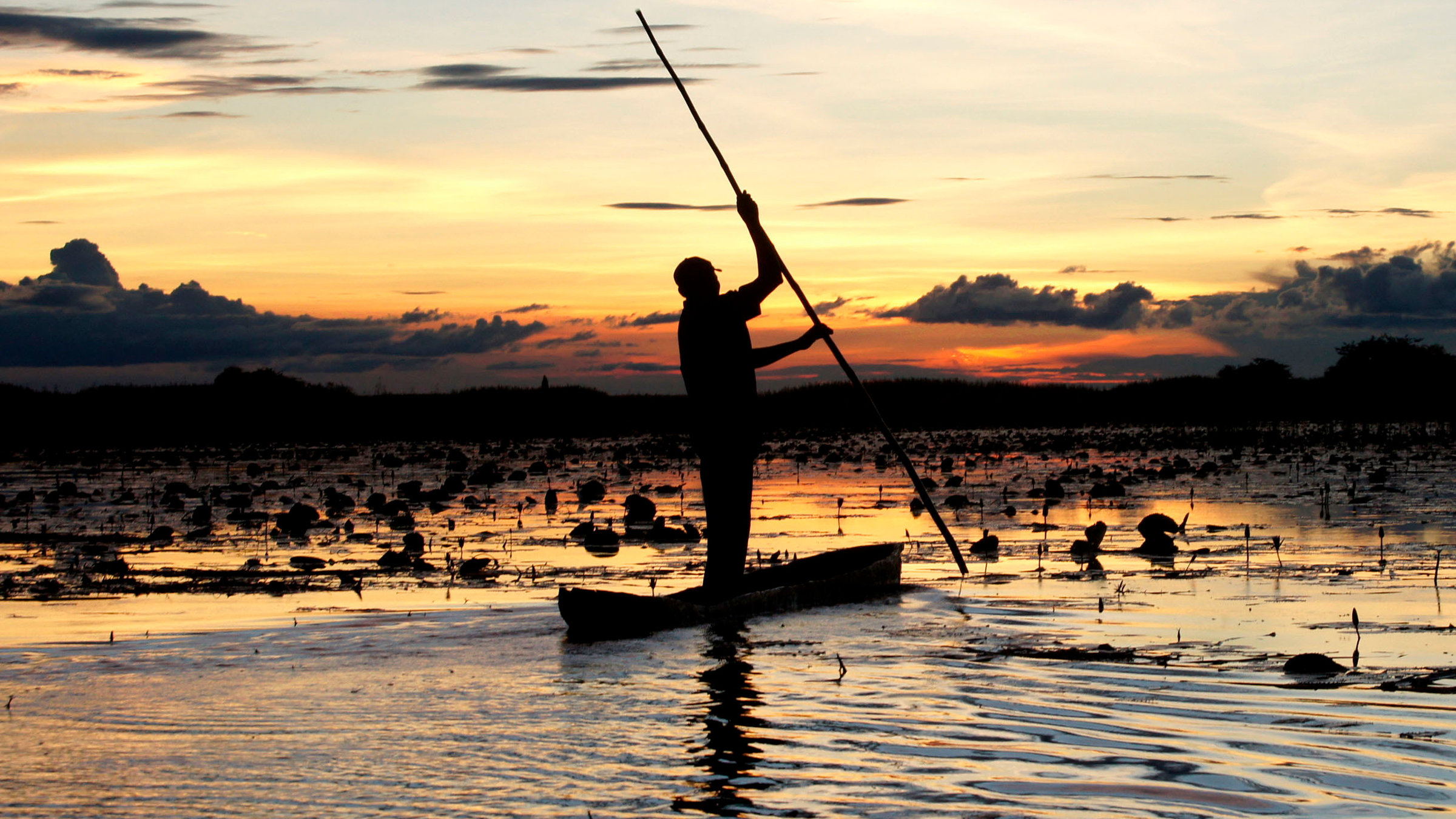 "Mythos Kongo (1/2) - Fluss der Extreme": Ein Fischer in den Bangweulusümpfen Sambias auf seinem Weg nach Hause...