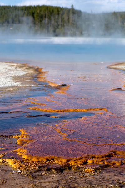 Yellowstone - Zeit des Wandels