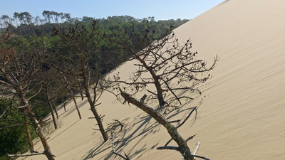 Strände Europas (6/6)