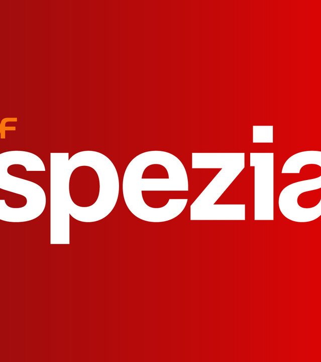 "ZDF spezial": Sendungslogo
