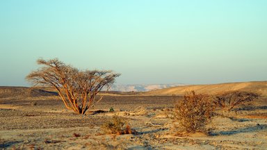 Gottesdienst - Die Wüste Vor Augen