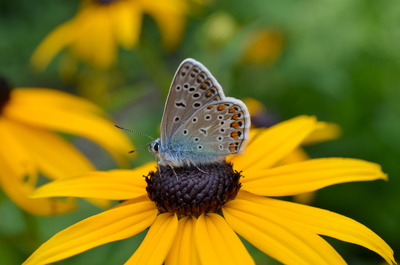 Die Macht der Jahreszeiten: Frühling & Sommer