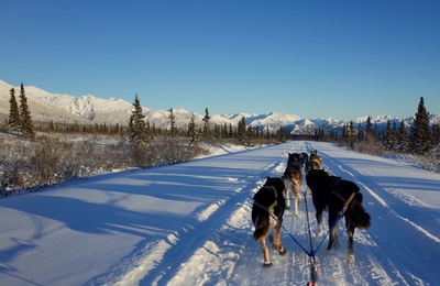 Im Zauber der Wildnis - Alaskas Majestät:<br/>Der Denali-Nationalpark