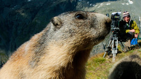 Wildes Bayern - Das erste Licht am Königssee