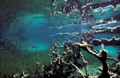 Plitvice - Land der fallenden Seen