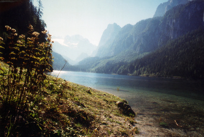 Alpenseen - Stille Schönheit am Ursprung des Wassers
