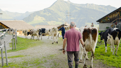 Almgeschichten aus Vorarlberg