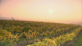 Weinviertel - Weites Land