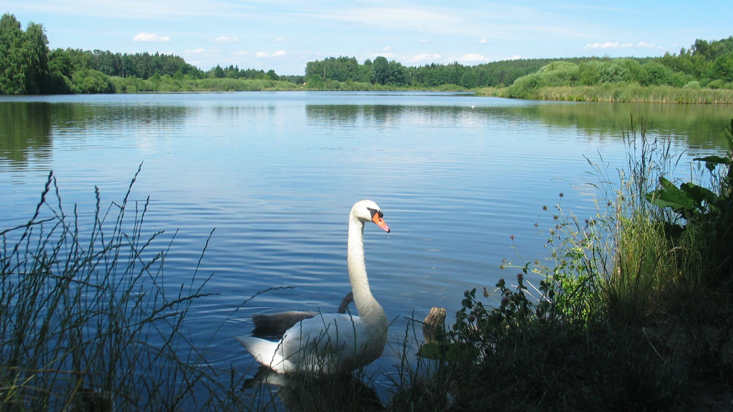 "Romantische Flüsse: Der Main": Flussauenlandschaft am Obermain.