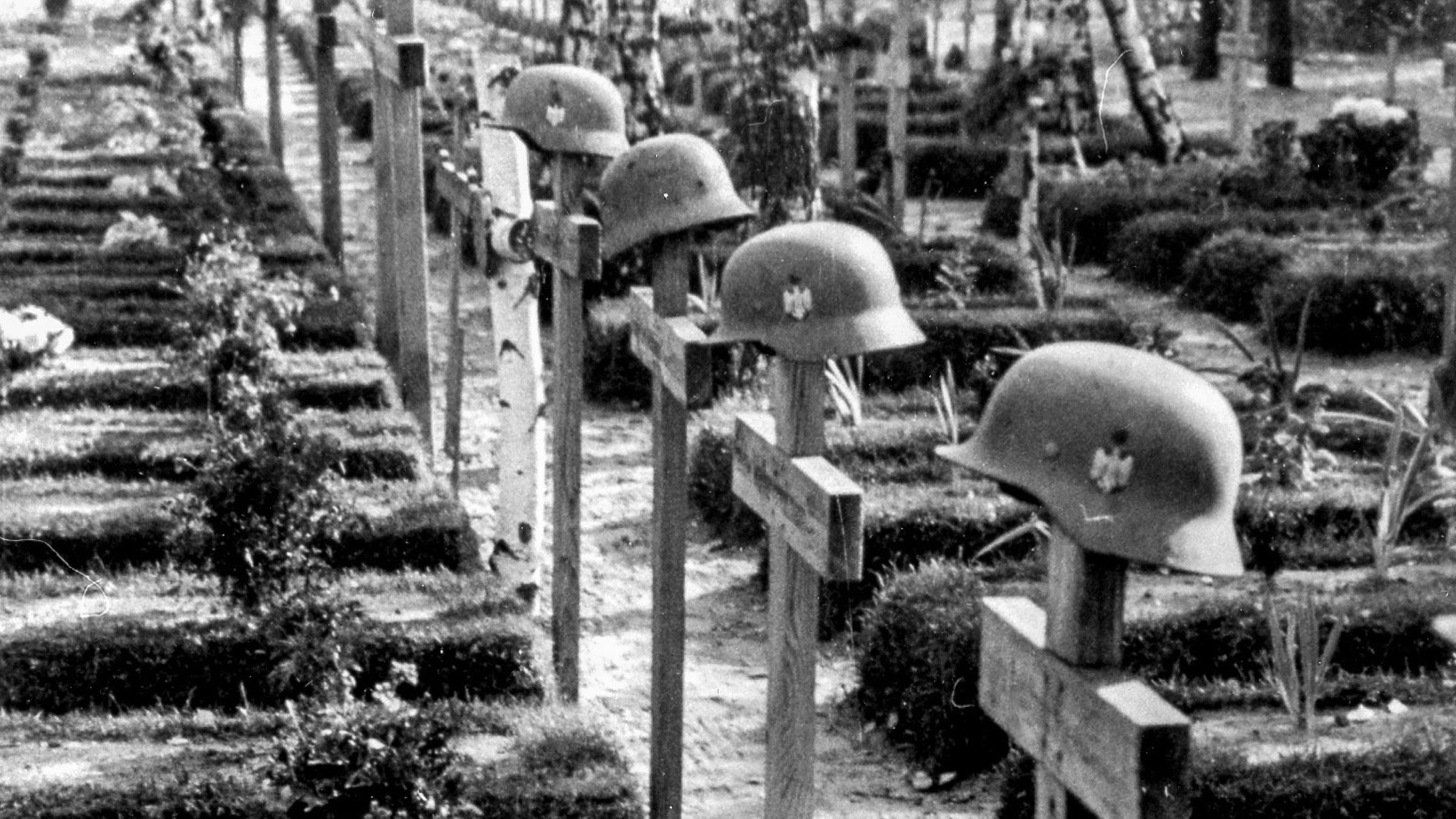 "Österreich I - Vom Siegen und Sterben": Soldatenfriedhof