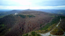 Waldstadt Wien - Was wäre Wien ohne seinen Wald?