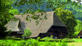 Der Schwarzwald