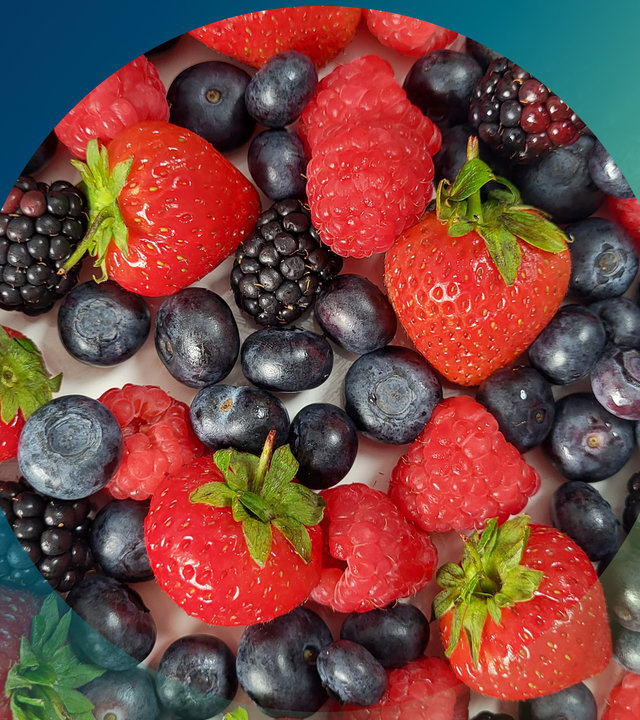 "planet e.: Superfood Beeren - Genuss mit Beigeschmack": Erdbeeren, Blaubeeren, Brombeeren und Himbeeren liegen durcheinander auf einer weißen Fläche.