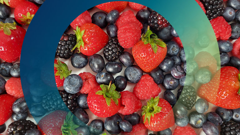 "planet e.: Superfood Beeren - Genuss mit Beigeschmack": Erdbeeren, Blaubeeren, Brombeeren und Himbeeren liegen durcheinander auf einer weißen Fläche.