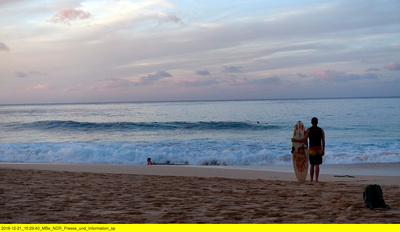 Das Herz von Hawaii - die Insel Oahu