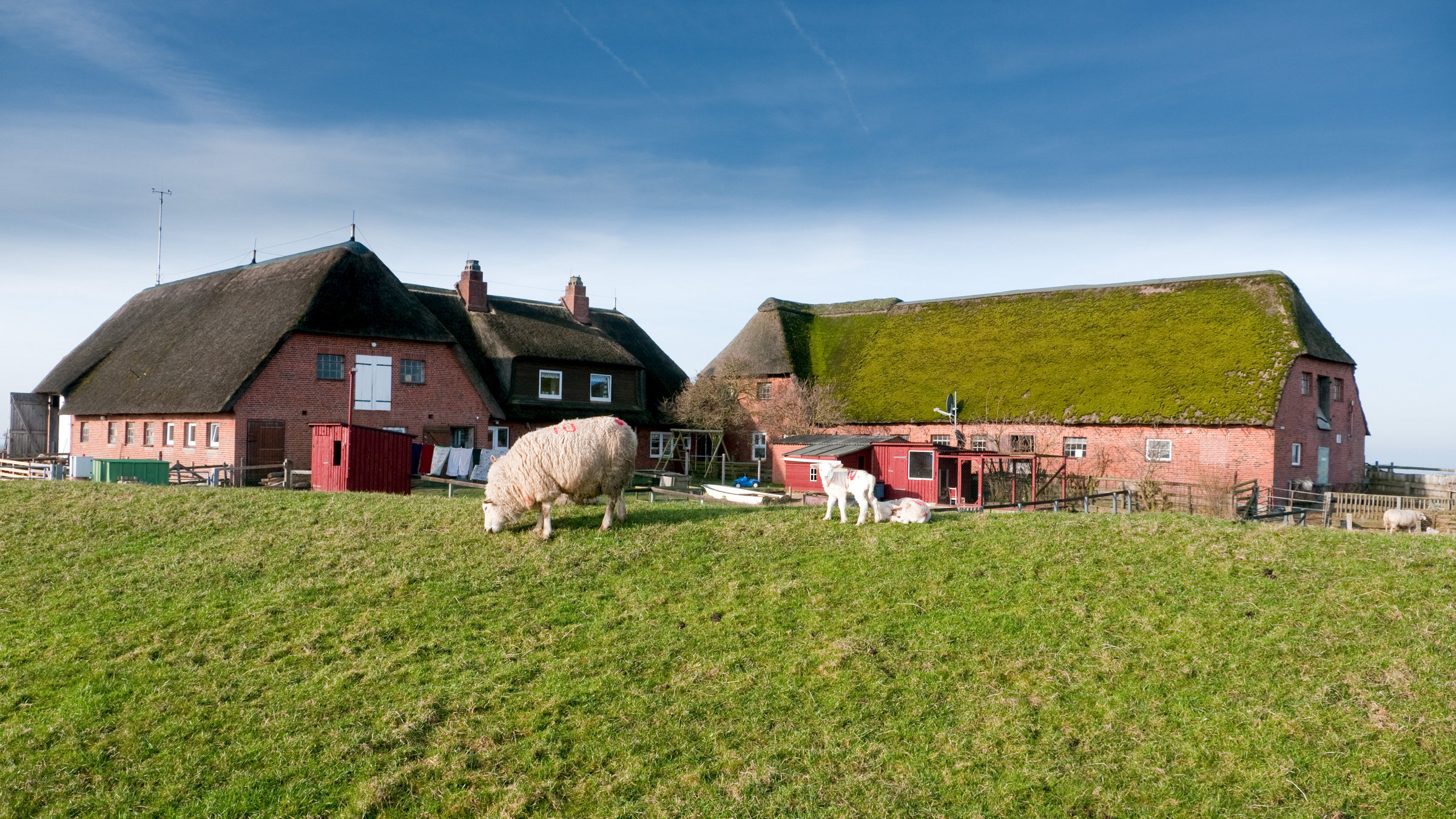 "Extrem! Von höchsten Höhen bis unters Meer" - Häuser auf der Hallig Gröde, Deutschland (3m. über den Meeresspiegel, 16 Einwohner).