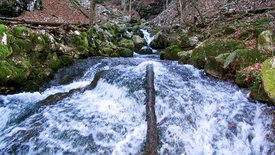 Pielach - Im Garten der Voralpen