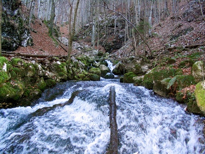 Pielach - Im Garten der Voralpen