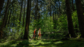 Magie der Märchen: Hänsel und Gretel auf der Spur