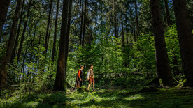 Magie der Märchen: Hänsel und Gretel auf der Spur