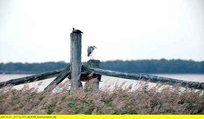 Peenemünde - Vom geheimen Militärkomplex zum Naturparadies