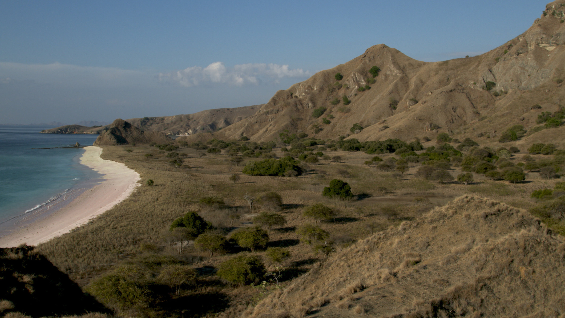 "Indonesien - ungezähmt: Im Land der Drachen": Links blaues Meer, dann hell-sandiger Küstensaum, Flachland mit Büschen, auf der hinteren und rechten Bildseite nahezu kahle Berge.