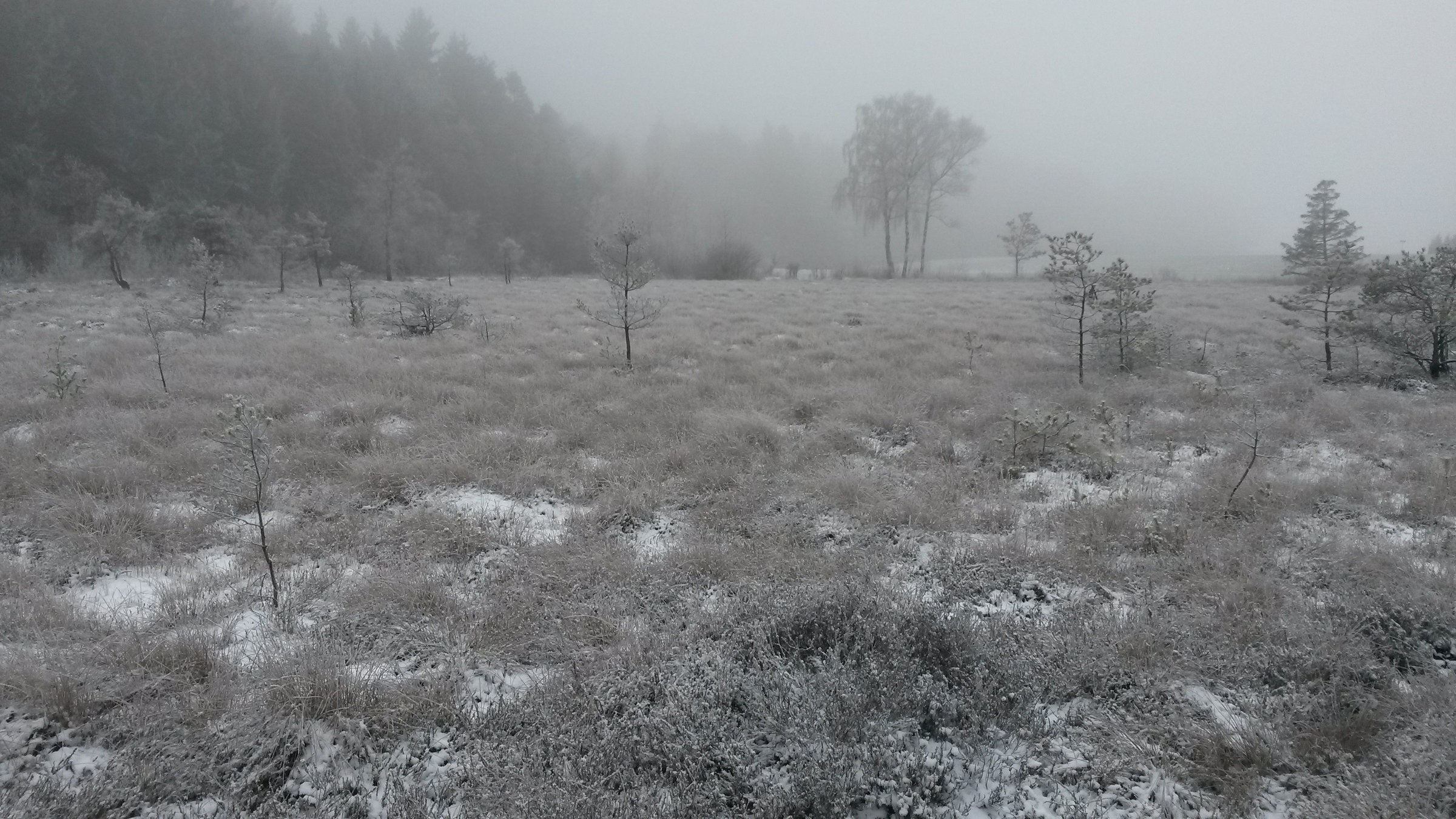 "Magie der Moore - Das Nebelreich": Winternebelmoor