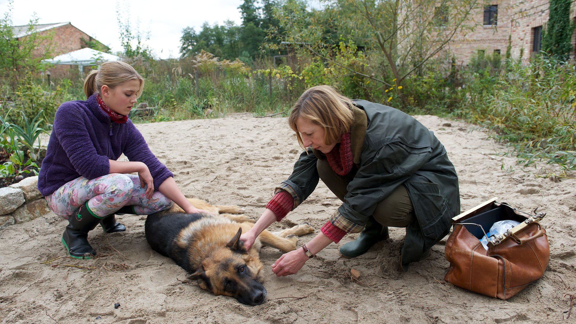 "SOKO Wismar - Stadt, Land, Tod": Auf einem Sandweg liegt der kranke Hund von Lisa Jensen (Nele Trebs), die neben ihm kniet und eine Hand auf seinen Bauch gelegt hat. Helene Sturbeck (Katharina Blaschke) kniet auf der anderen Seite und fühlt den Puls des Hundes an seinem Hals. Ihre Arzttasche steht geöffnet neben ihr.