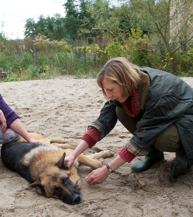 "SOKO Wismar - Stadt, Land, Tod": Auf einem Sandweg liegt der kranke Hund von Lisa Jensen (Nele Trebs), die neben ihm kniet und eine Hand auf seinen Bauch gelegt hat. Helene Sturbeck (Katharina Blaschke) kniet auf der anderen Seite und fühlt den Puls des Hundes an seinem Hals. Ihre Arzttasche steht geöffnet neben ihr.