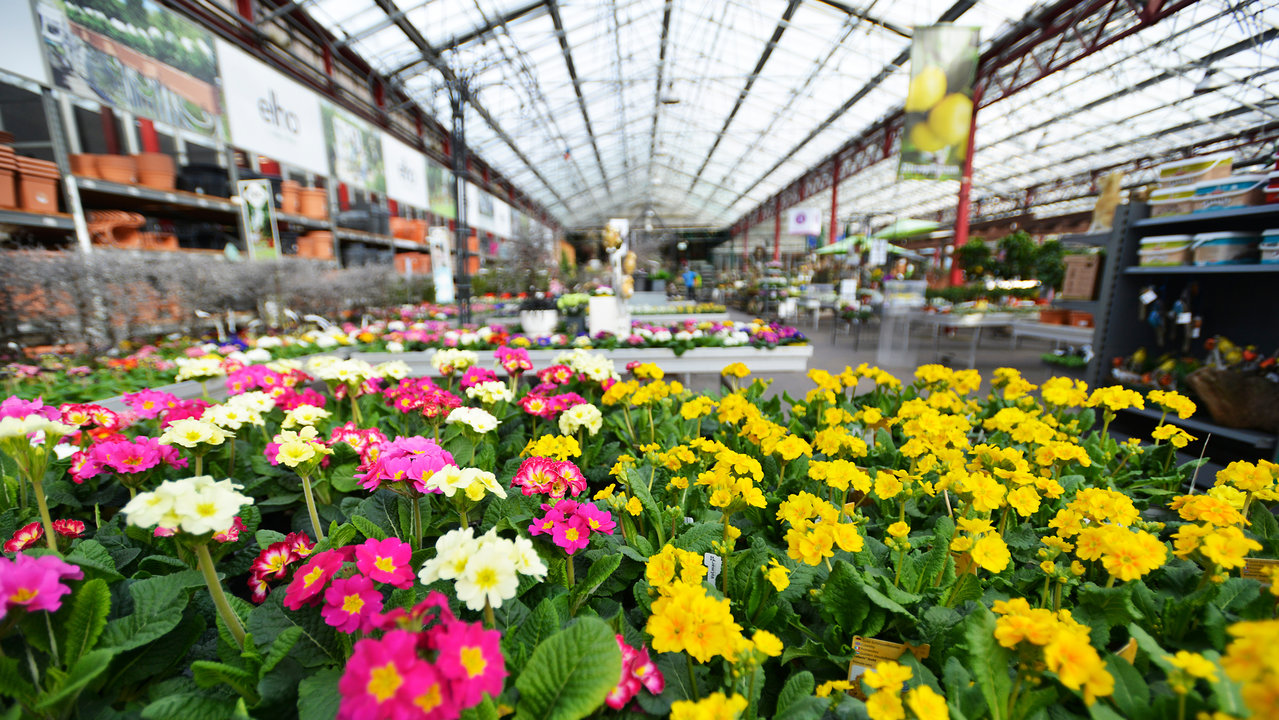 Der Grosse Gartencenter Check Zdfmediathek