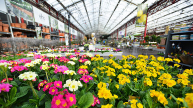 Zdfzeit - Der Große Gartencenter-check