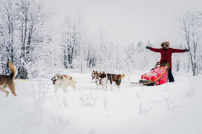 Abenteuer Lappland (2/3)