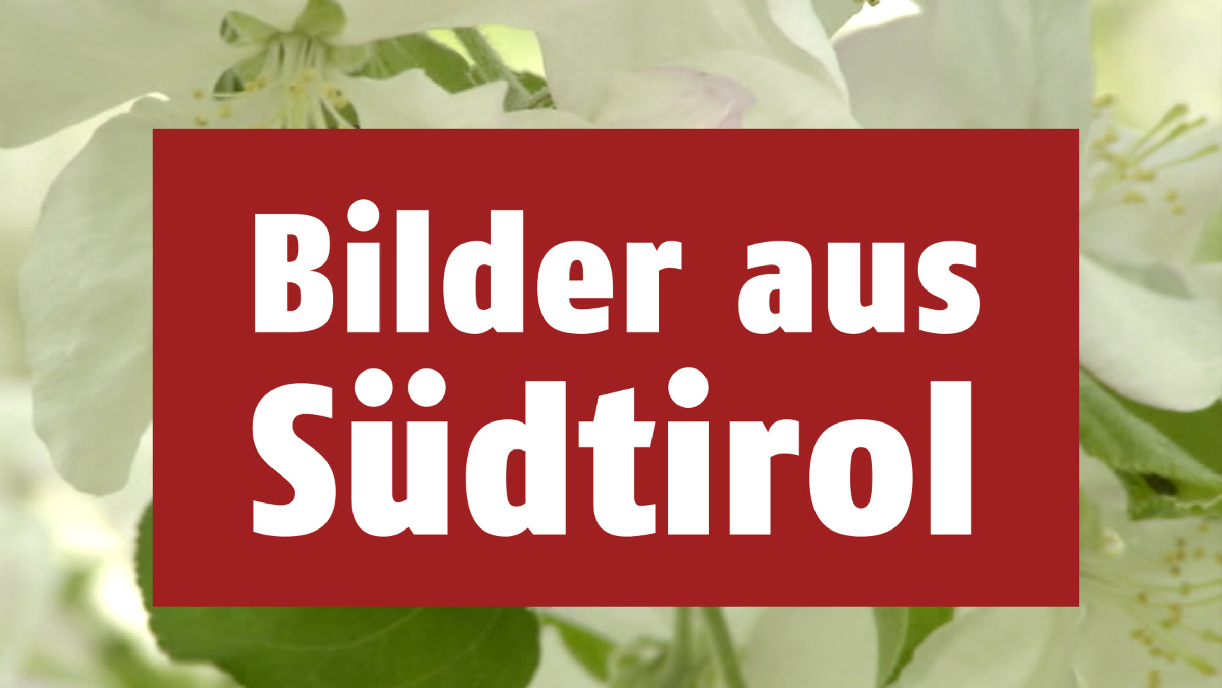 Logo der Sendung "Bilder aus Südtirol"