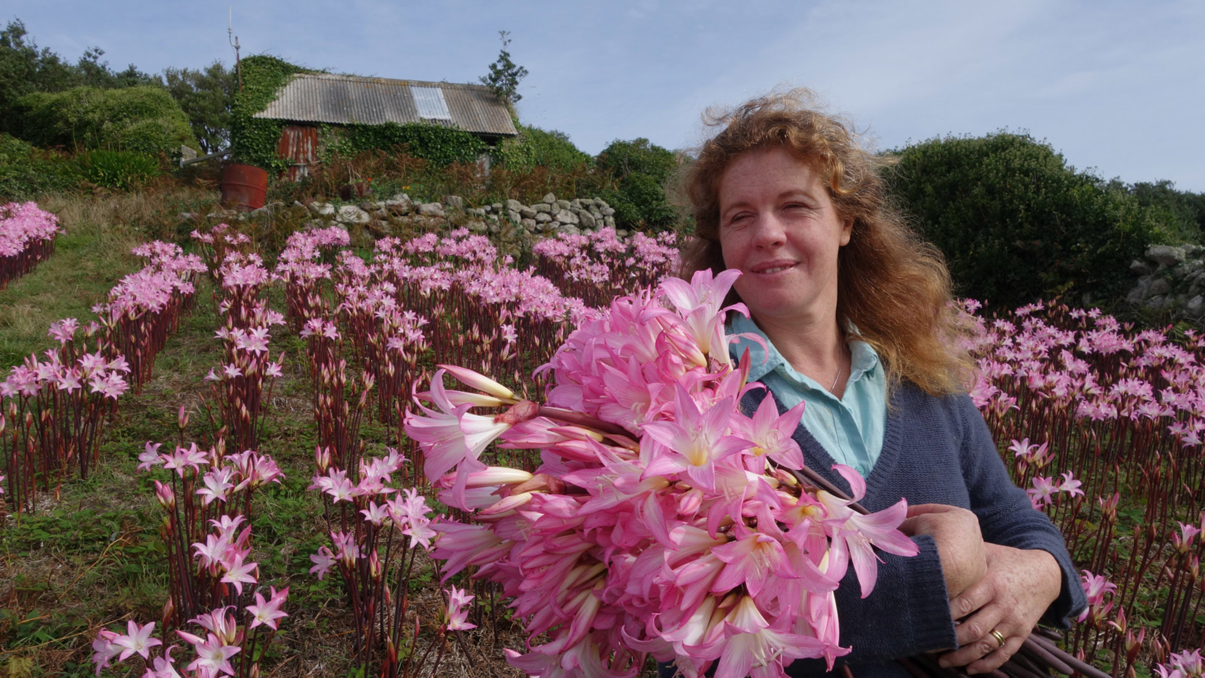 "Die Inseln der Queen (4/5): Die Scilly-Inseln": Die Flower-Farmerin Zoe Julian baut auf St. Martin’s das ganze Jahr über Blumen an.