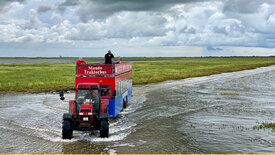 mareTV: Die dänischen Wattenmeerinseln